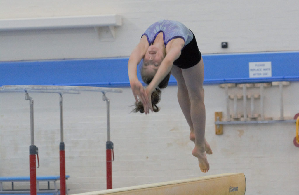 Stockport School Of Gymnastics – Gymnastics In The Community