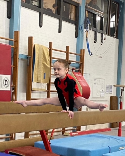 Grade 6 Gymnastics – Stockport School Of Gymnastics – Competitive