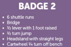 bgbadge2text