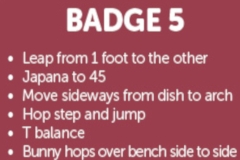 bgbadge5text